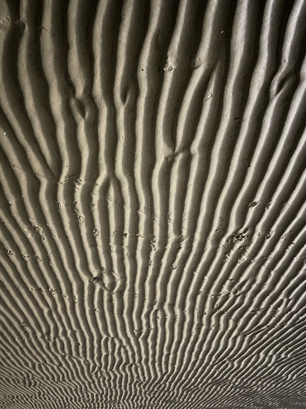 16b74dd21ed1da84aa47126e94655ce6_1717631580_88.JPG