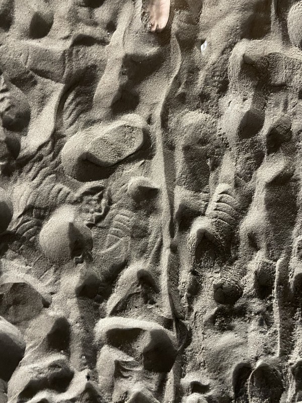 16b74dd21ed1da84aa47126e94655ce6_1717631584_95.JPG